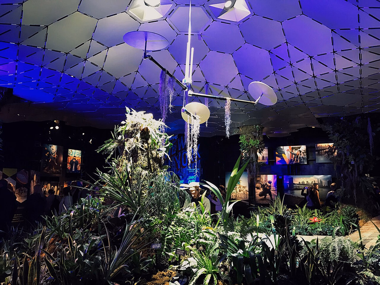 Hage under det sekskantede lystaket på Lowline Lab
