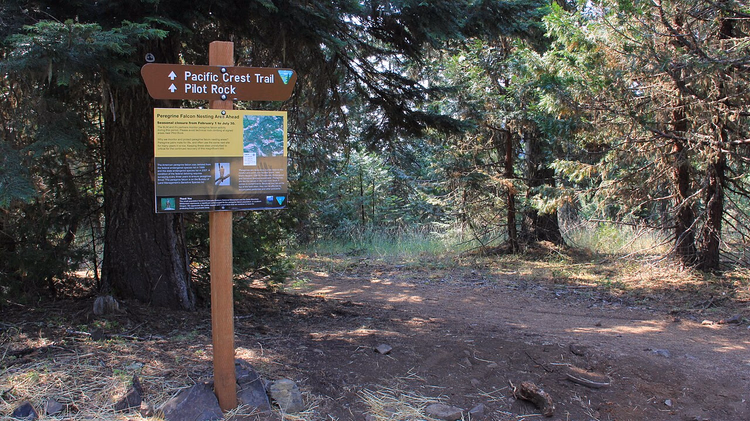 Pacific Crest Trail-skilt i en skog i Oregon