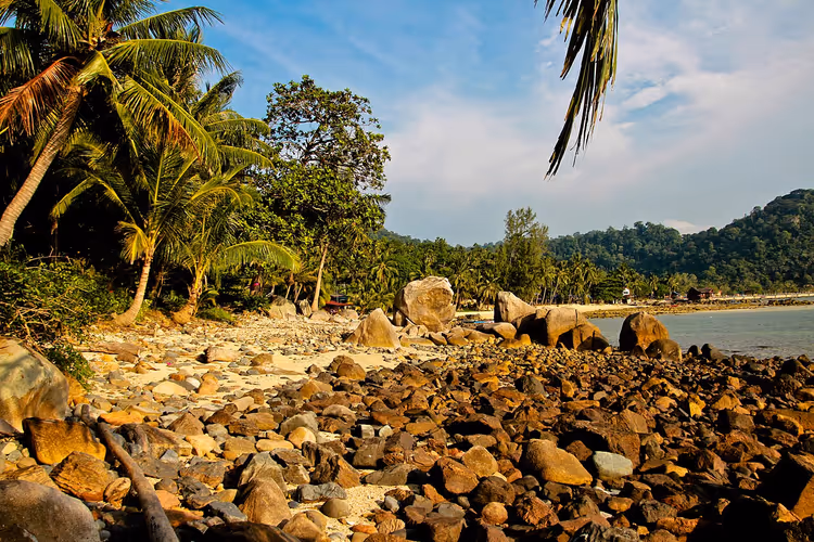 Rivage rocheux avec palmiers et collines sur l'île de Tioman