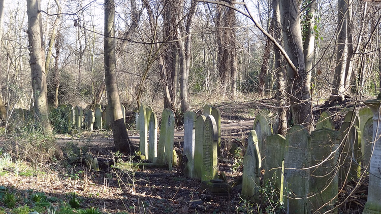 Met mos bedekte grafstenen tussen de bomen op een oude begraafplaats