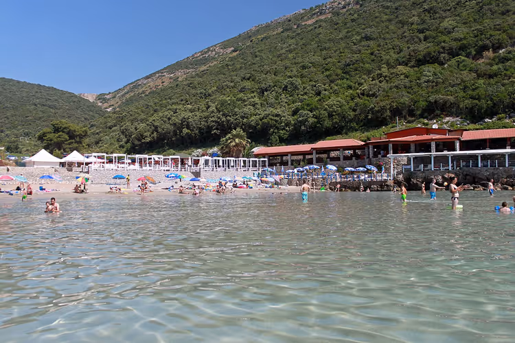Trsteno Beach met helder water en bergen