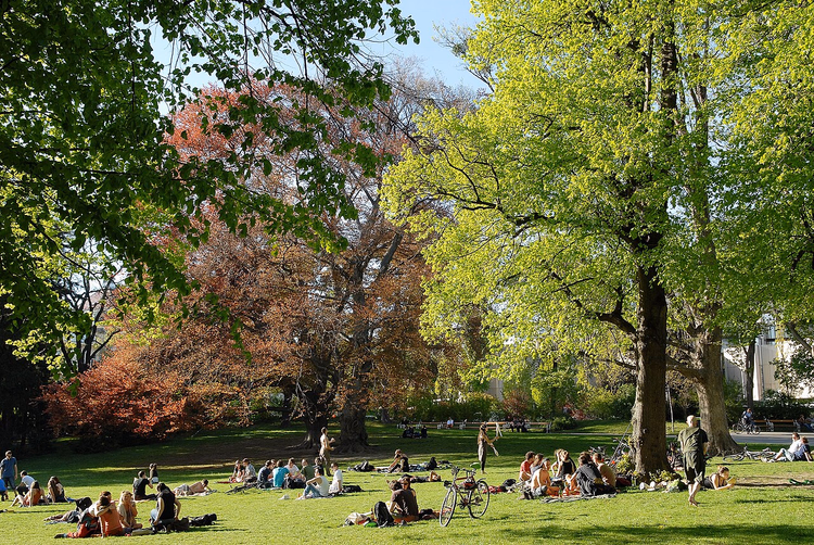 Personnes se détendant sur la pelouse du Türkenschanzpark à Vienne au printemps