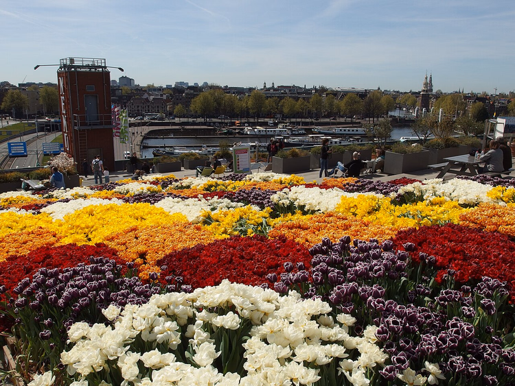 Tulipanerteppe på taket av NEMO i Amsterdam
