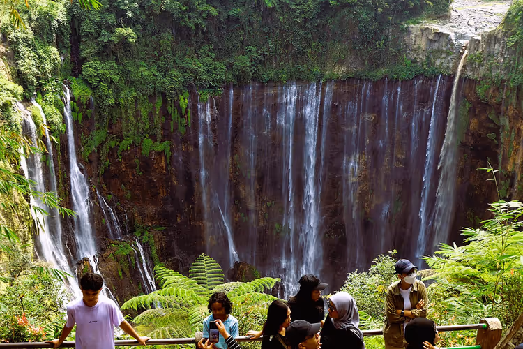 Tumpak-Sewu-Wasserfall im tropischen Dschungel