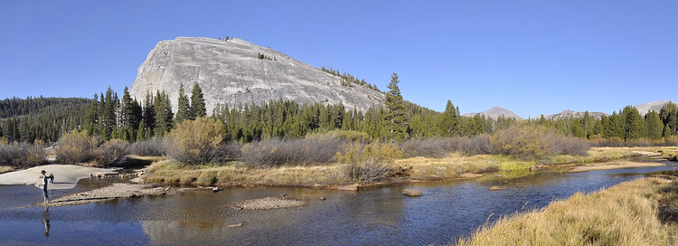 Çayırın üzerinde Tuolumne Nehri ve Lembert Dome