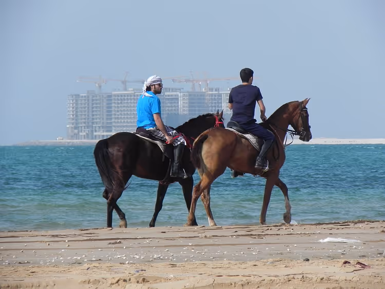 فرسان على ظهور الخيل على شاطئ في الإمارات