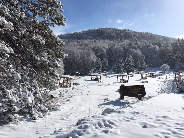 Snowy forest and pavilions in Uludag National Park