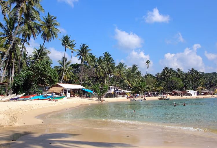 Unawatuna Beach mit Palmen und Booten