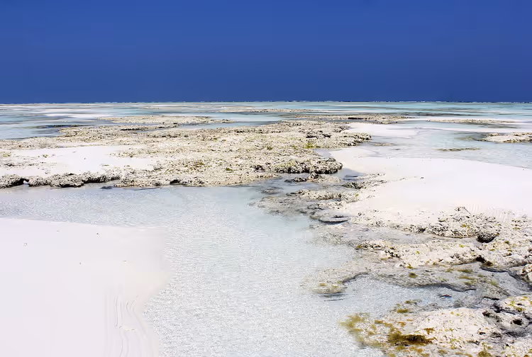 Hvit sandstrand og turkisblått vann på Zanzibar