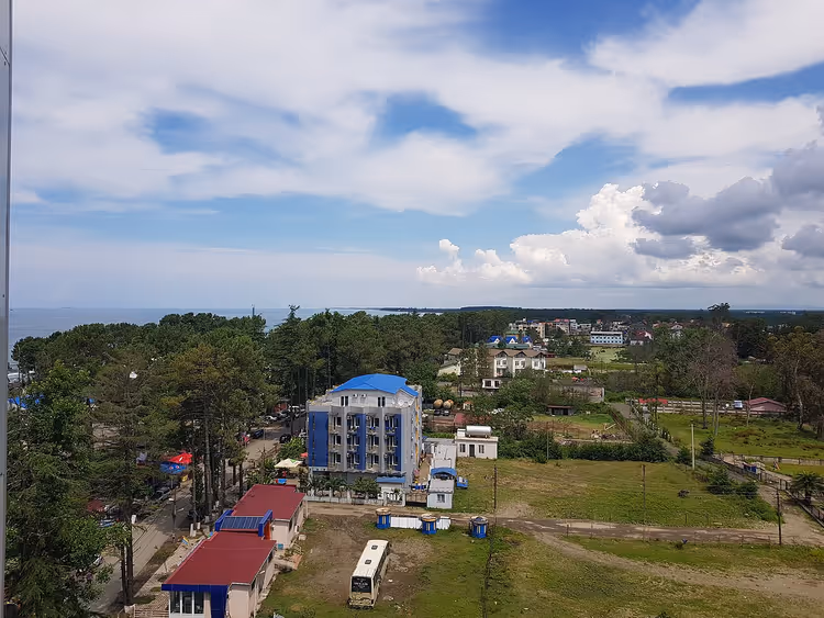 Ureki'nin kuş bakışı görünümü: çam ağaçları, deniz ve evler