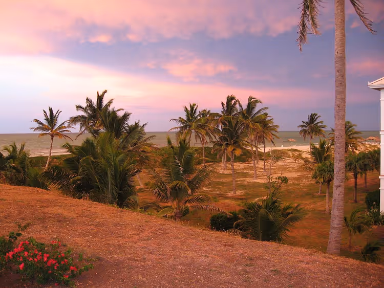 palmer og hav ved solnedgang i Varadero