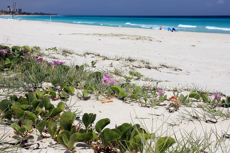 Beyaz kumlu ve turkuaz suyu olan Varadero plajı