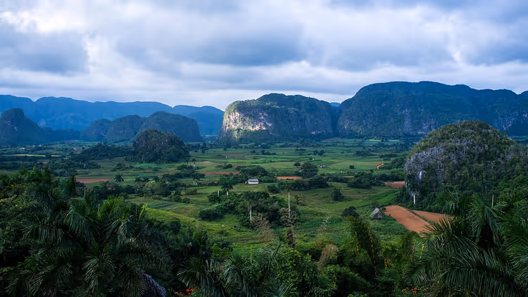 Panorama over Viñales-dalen med mogoter, åkre og palmer