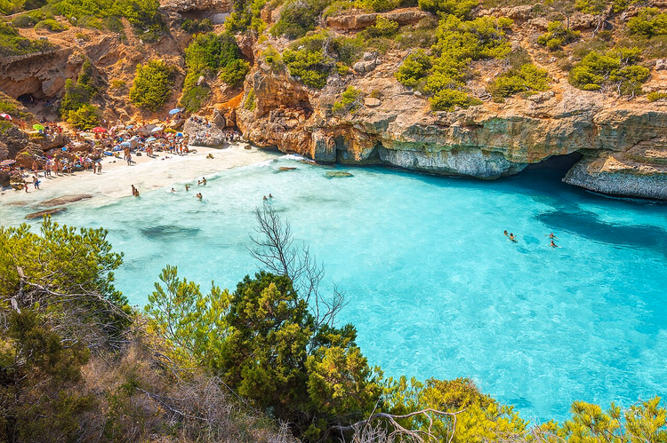 Türkisfarbene Bucht von Calo des Moro zwischen Felsen und Pinien