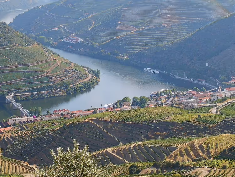 Douro und terrassierte Weinberge bei Pinhão
