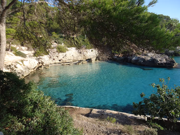 Kleine baai met turquoise water en dennenbomen
