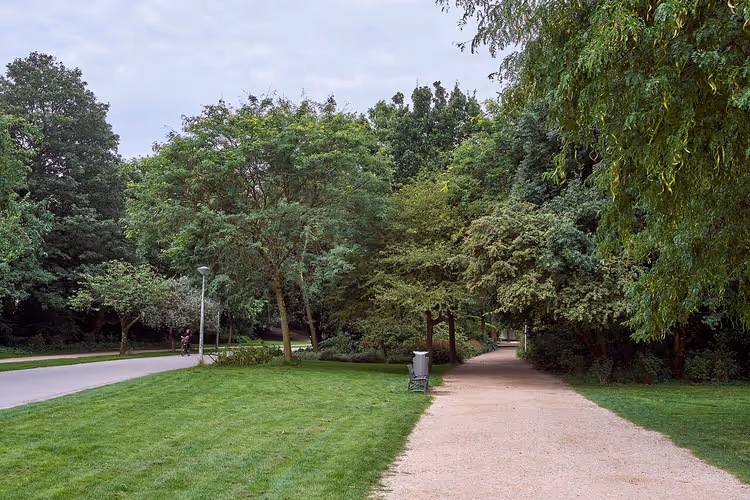 Von Bäumen gesäumter Weg in einem Park mit Rasenfläche