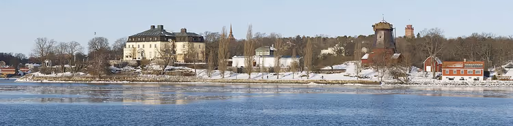 Winterpanorama van Waldemarsudde met het paleis en de toren
