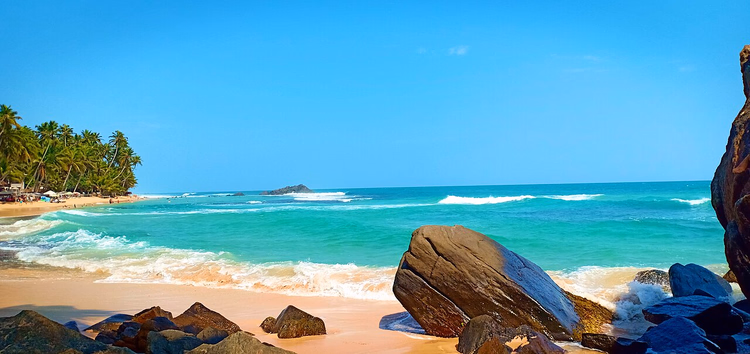 Playa de arena de Dalawella con rocas y palmeras