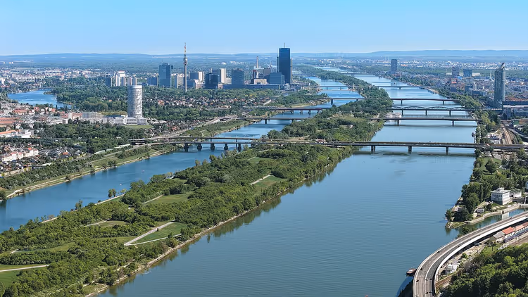 L'île du Danube : berges verdoyantes et eau en été