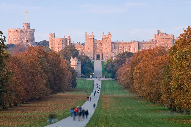 Château de Windsor, allée et arbres d'automne
