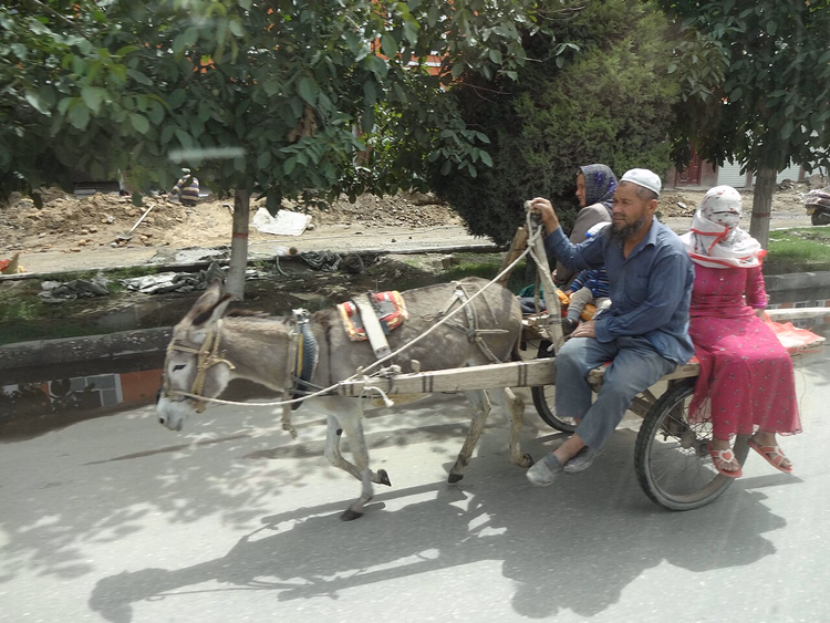 Eselskarren auf einer Straße in Yarkand, Xinjiang