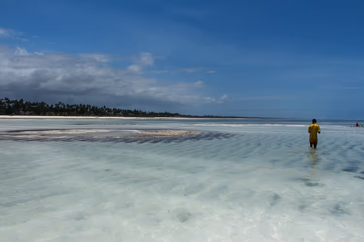 Berrak suyu ve bir kişiyle Zanzibar plajı