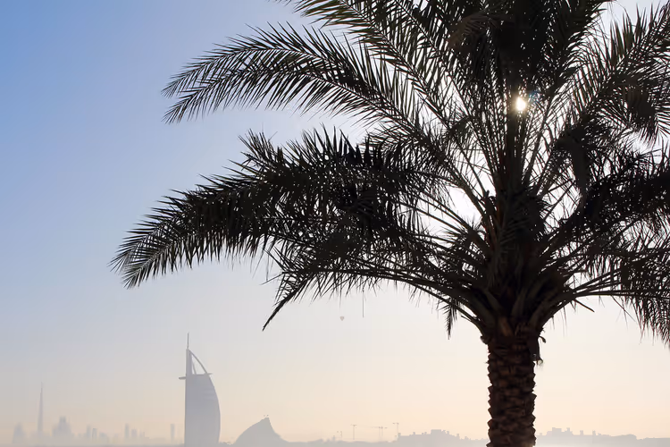 Palme mot den disige silhuetten av Burj Al Arab