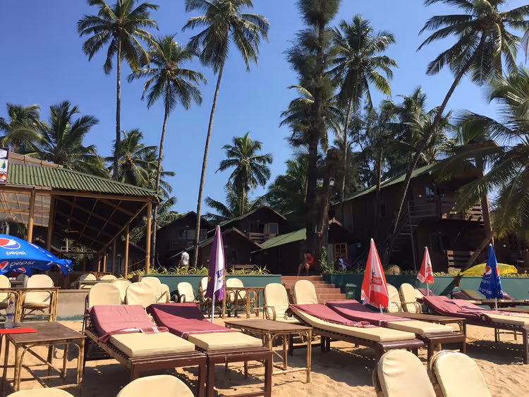 Sonnenliegen und Palmen am Strand des Resorts