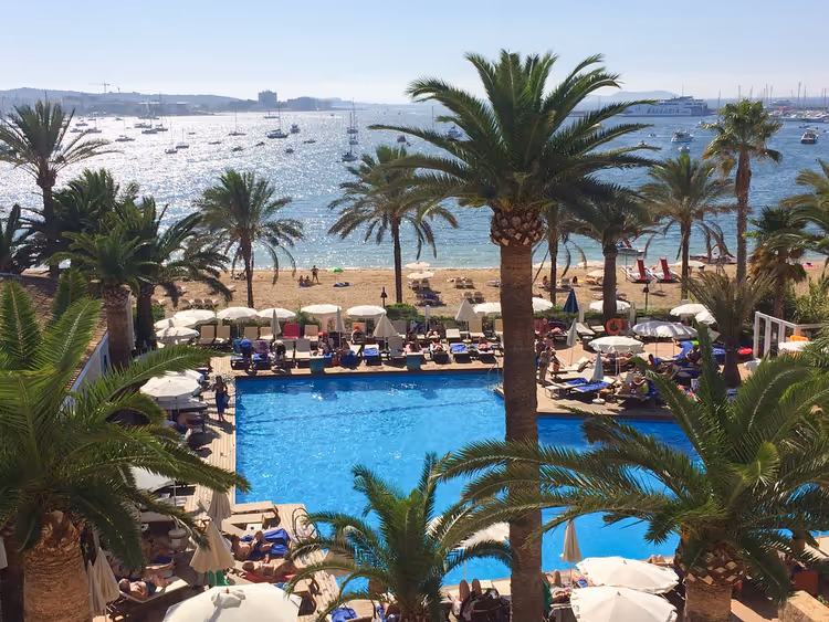 Palmiyeler ve deniz manzaralı otel havuzu