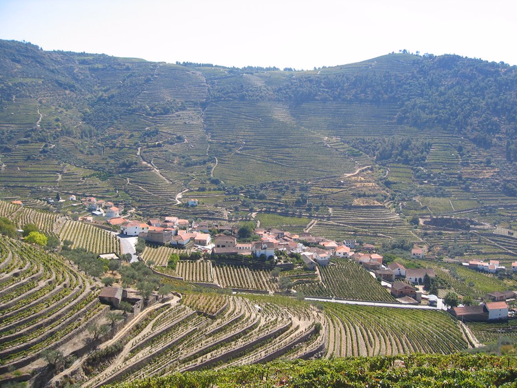 Douro Vadisi'nin teraslı bağları ve köyü