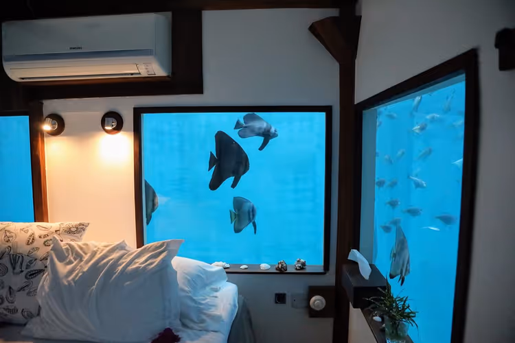 Подводная спальня Manta Resort с окнами и рыбами