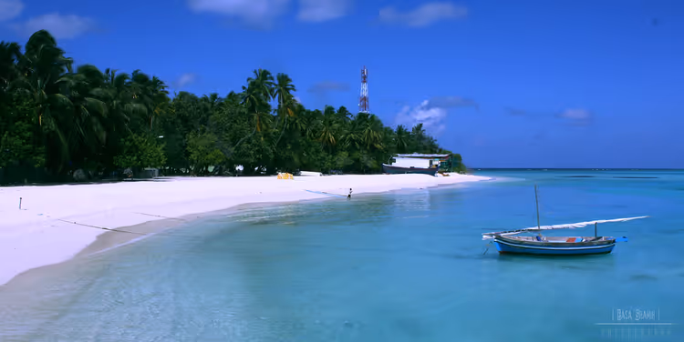 Fulidhoo beach with palm trees and a dhoni boat