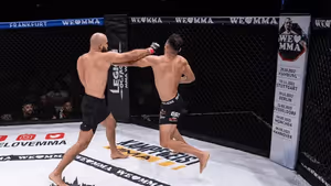 Apostas em MMA: regras dos combates, tipos de aposta e como ler as odds
