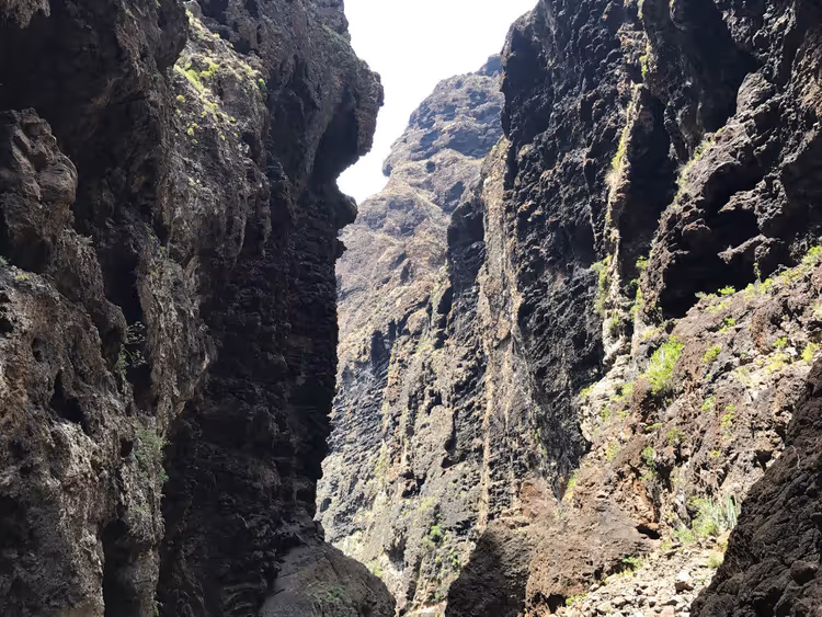 Tenerife'deki dar Masca Kanyonu'nun sarp kayalıkları