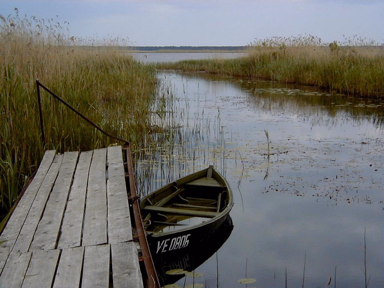 Boot an einem Steg im Schilf des Engure-Sees