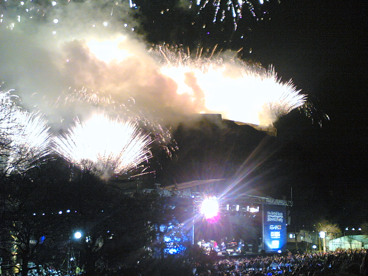 Fireworks above the castle and the crowd at the Street Party