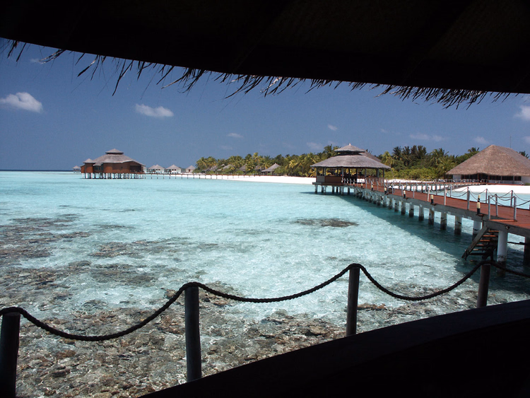 Overwatervilla's en rif bij de steiger van het resort