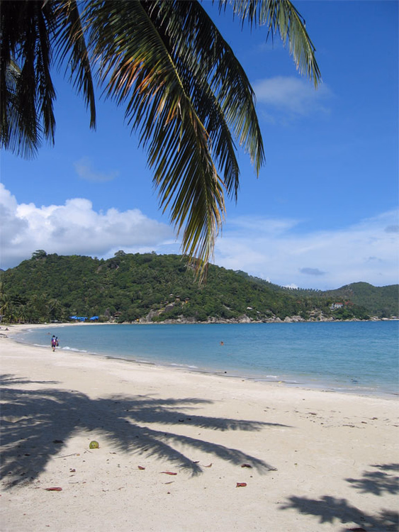 Thong Nai Pan Yai Beach met een palmboom