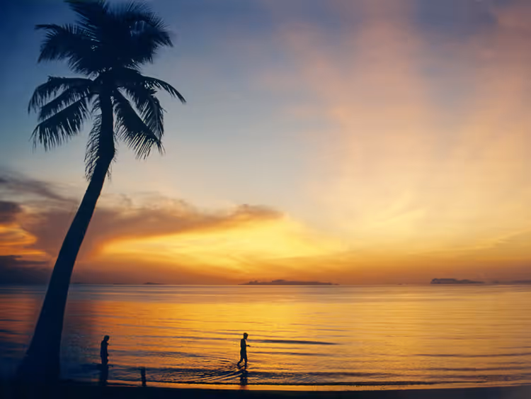 Sonnenuntergang über dem Meer und eine Palme auf Samui