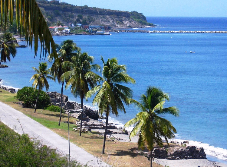 Aşağı Şehir Oranjestad yakınında palmiyeler ve bir koy