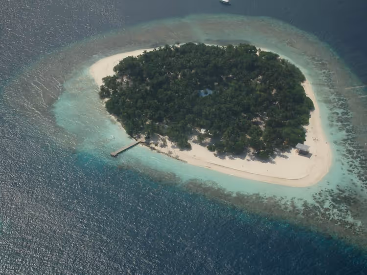tropisch eiland met strand en rif van bovenaf