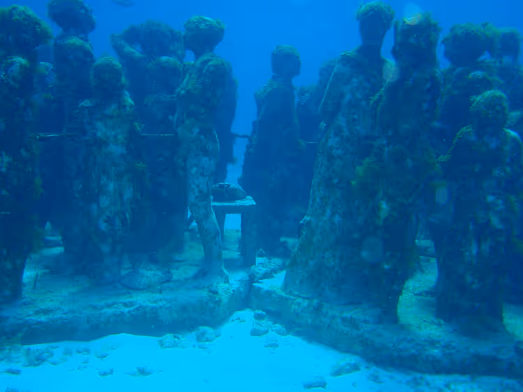 Onderwaterbeelden van het MUSA-museum in blauw water