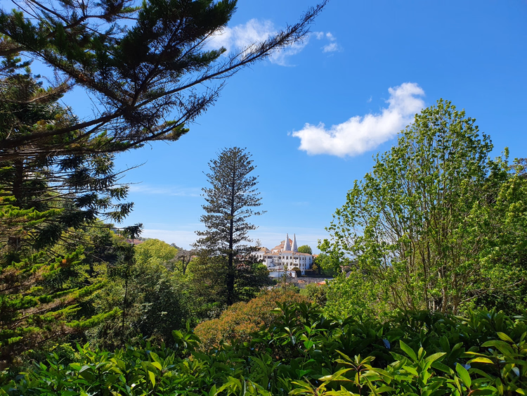 Groen park met uitzicht op het Nationaal Paleis
