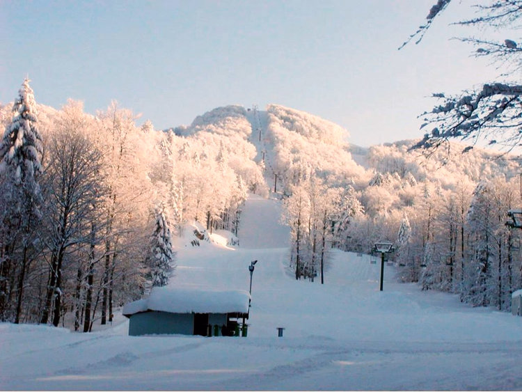 Platak-Skipiste durch einen verschneiten Wald