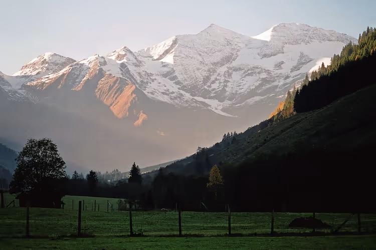 Verschneite Gipfel der österreichischen Alpen über einer grünen Wiese