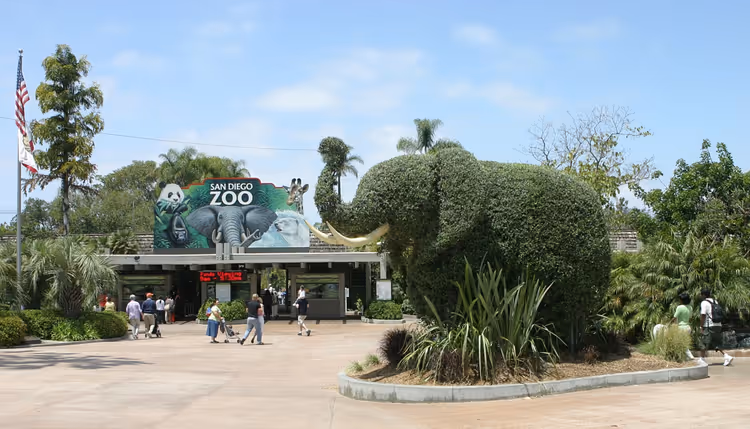 Inngangen til San Diego Zoo med en elefantformet busk