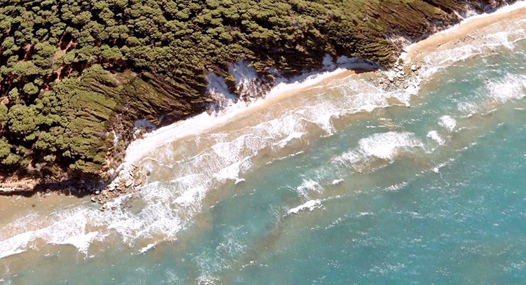 versante coperto di pini sopra un mare turchese, vista aerea