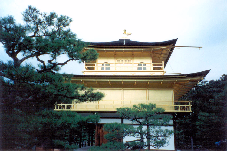 Der Goldene Pavillon Kinkaku-ji zwischen Kiefern in Kyoto