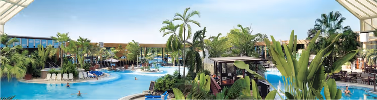 Tropisch bad bij Therme Erding met palmbomen